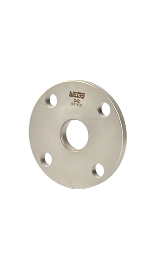 Flat Convex Flange Stainless Steel Pipe Fitting